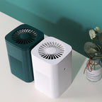 Air Purifier HEPA PM2.5 Double Filter Ion Generator and Hay Fever Mold Prevention-Genie Superhealth Store