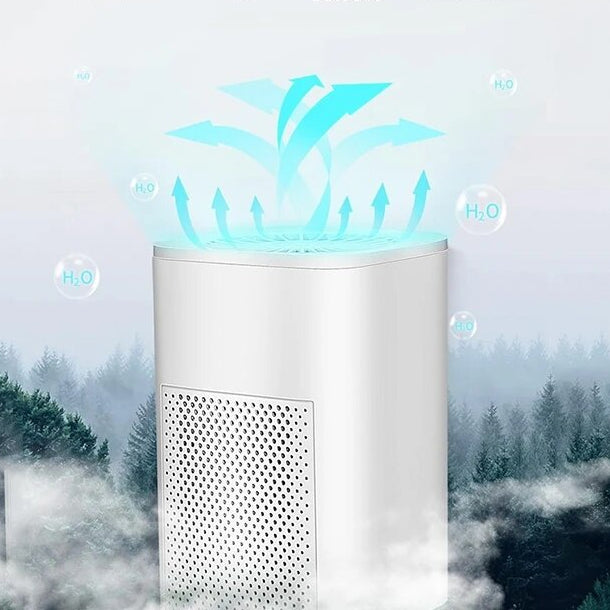 Air Purifier HEPA PM2.5 Double Filter Ion Generator and Hay Fever Mold Prevention-Genie Superhealth Store
