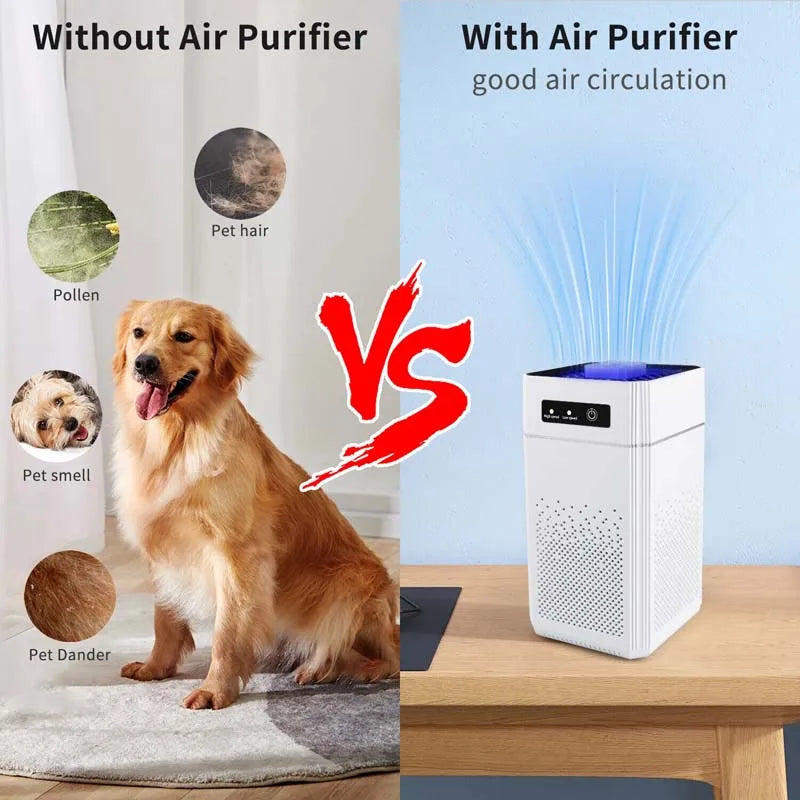 Air Purifier Home 3-in-1 HEPA PM2.5 Filter Healthy Ions Generator and UV Light