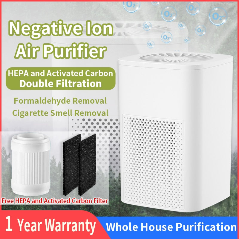 Air Purifier HEPA PM2.5 Double Filter Ion Generator and Hay Fever Mold Prevention