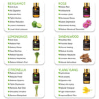 Essential Oils Gift Box 28-pcs Value Set With 4 Refillable Rollers 4 Droppers