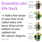 Essential Oils Gift Box 28-pcs Value Set With 4 Refillable Rollers 4 Droppers