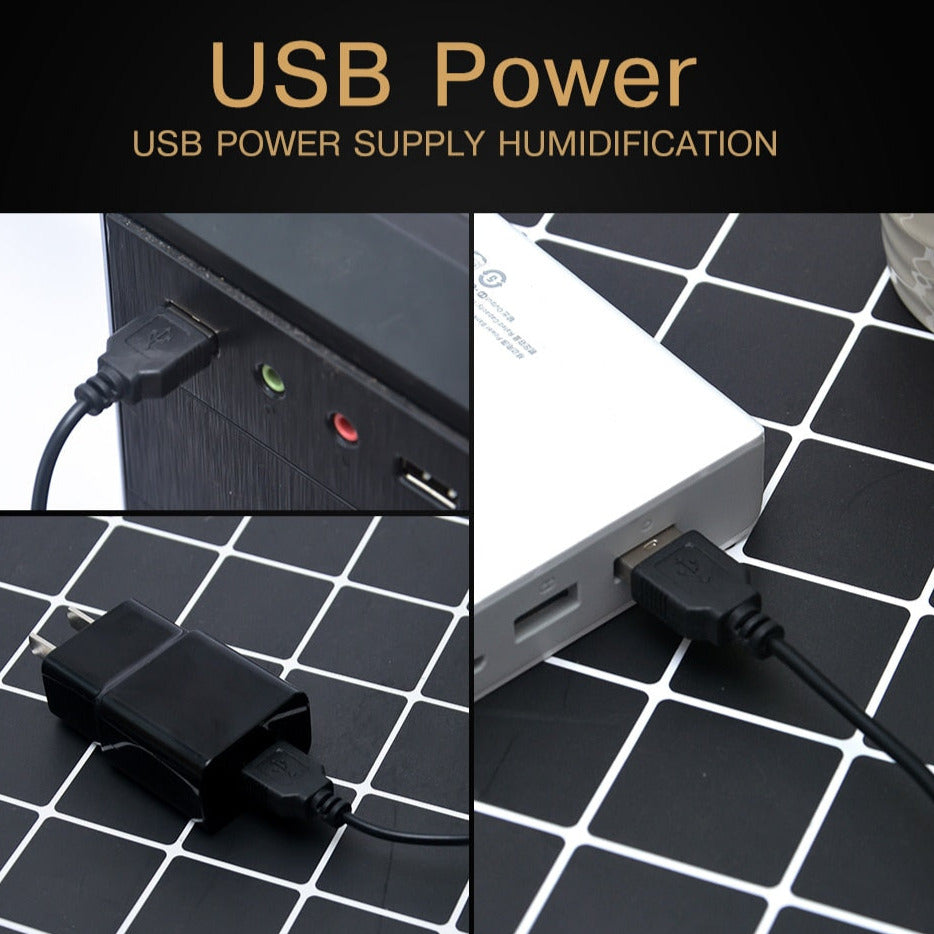 Mini Ultrasonic Round Spherical Aromatherapy Diffuser with 10pcs Wicks